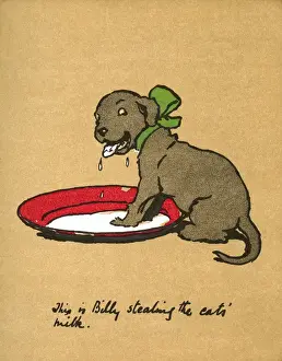 Illustration by Cecil Aldin, Black Billy
