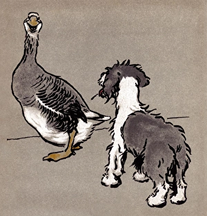 Images Dated 5th November 2015: Illustration by Cecil Aldin, The Bobtail Puppy Book