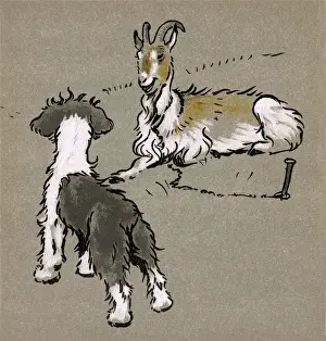 Illustration by Cecil Aldin, The Bobtail Puppy Book