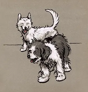 Illustration by Cecil Aldin, The Bobtail Puppy Book