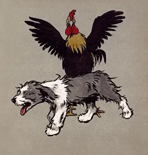 Illustration by Cecil Aldin, The Bobtail Puppy Book