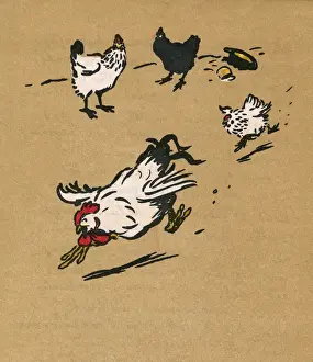 Illustration by Cecil Aldin, Cock-O-Lorum