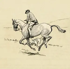 Illustration by Cecil Aldin, Cracker running with horse