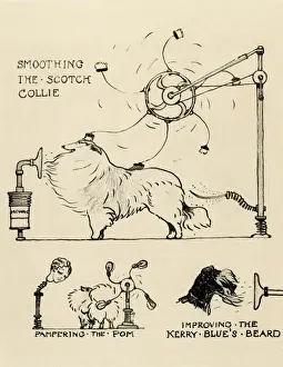 Brushing Prints: Illustration by Cecil Aldin, Crackers dog show inventions