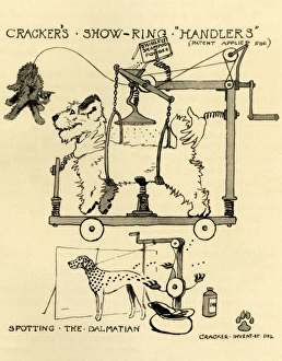 Illustration by Cecil Aldin, Crackers dog show inventions Illustration by Cecil Aldin, Crackers dog show inventions
