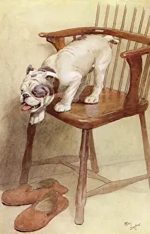 Illustration by Cecil Aldin, My Dog