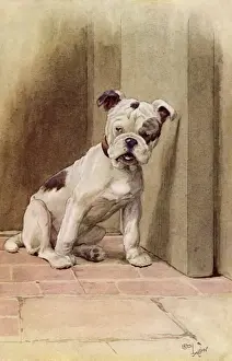 Illustration by Cecil Aldin, My Dog