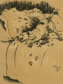 Aunt Collection: Illustration by Cecil Aldin, A Dog Day