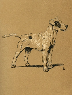 Images Dated 21st August 2015: Illustration by Cecil Aldin, A Dog Day