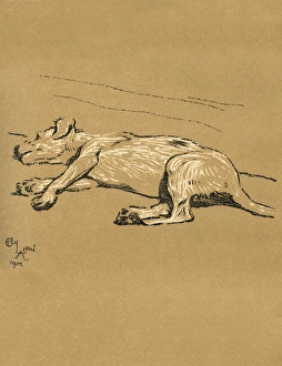 Images Dated 21st August 2015: Illustration by Cecil Aldin, A Dog Day