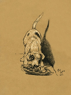 Images Dated 21st August 2015: Illustration by Cecil Aldin, A Dog Day
