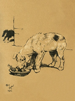 Images Dated 21st August 2015: Illustration by Cecil Aldin, A Dog Day