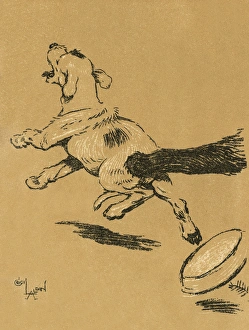 Images Dated 21st August 2015: Illustration by Cecil Aldin, A Dog Day