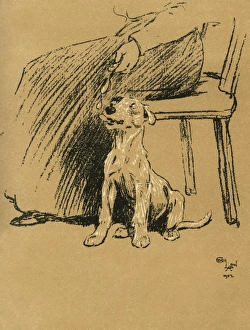 Images Dated 21st August 2015: Illustration by Cecil Aldin, A Dog Day