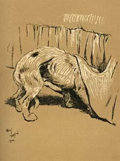 Images Dated 21st August 2015: Illustration by Cecil Aldin, A Dog Day