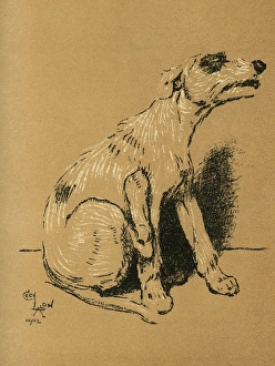 Images Dated 21st August 2015: Illustration by Cecil Aldin, A Dog Day
