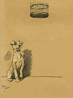 Images Dated 21st August 2015: Illustration by Cecil Aldin, A Dog Day