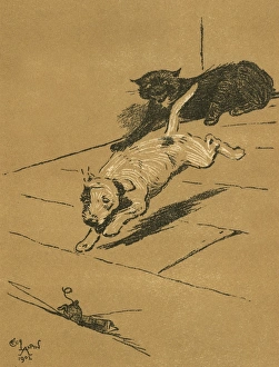 Images Dated 21st August 2015: Illustration by Cecil Aldin, A Dog Day