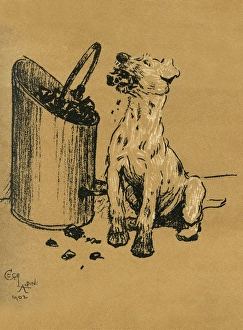 Images Dated 21st August 2015: Illustration by Cecil Aldin, A Dog Day