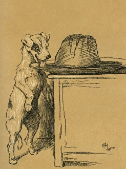 Images Dated 21st August 2015: Illustration by Cecil Aldin, A Dog Day