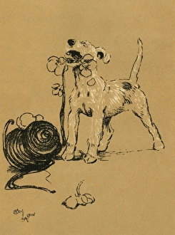 Images Dated 21st August 2015: Illustration by Cecil Aldin, A Dog Day