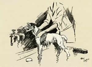 Brush Gallery: Illustration by Cecil Aldin, dog being given a bath