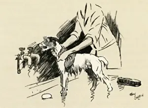 Scullery Prints: Illustration by Cecil Aldin, dog being given a bath