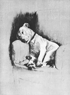 Illustration by Cecil Aldin, Dogs of Every Day