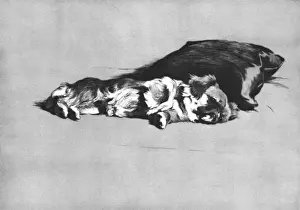 Illustration by Cecil Aldin, Dogs of Every Day