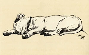 Terriers Collection: Illustration by Cecil Aldin, end of a perfect day