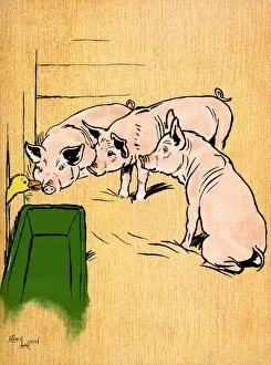 Duckling Prints: Illustration by Cecil Aldin, Farm Babies