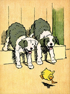 Illustration by Cecil Aldin, Farm Babies