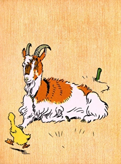 Illustration by Cecil Aldin, Farm Babies