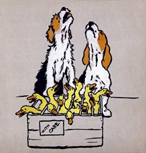 Illustration by Cecil Aldin, The Farmyard Puppies