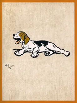 Illustration by Cecil Aldin, Field Babies