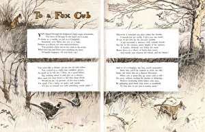 Illustration by Cecil Aldin, Forty Fine Ladies