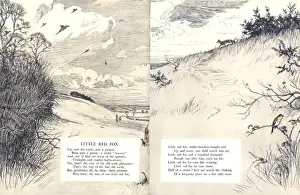 Illustration by Cecil Aldin, Forty Fine Ladies