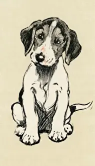 Foxhounds Prints: Illustration by Cecil Aldin, foxhound puppy