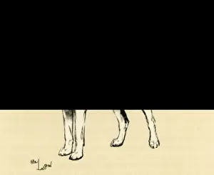 Staghounds Prints: Illustration by Cecil Aldin, French Staghound