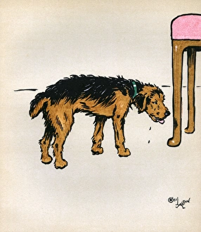 Dog with Green Collar