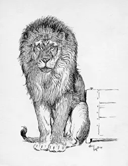 Mane Prints: Illustration by Cecil Aldin, The Lion