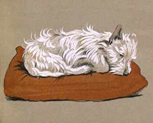 Illustration by Cecil Aldin, Mac Illustration by Cecil Aldin, Mac