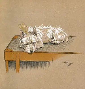 Illustration by Cecil Aldin, Mac