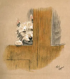 Illustration by Cecil Aldin, Mac