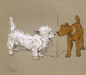 Illustration by Cecil Aldin, Mac