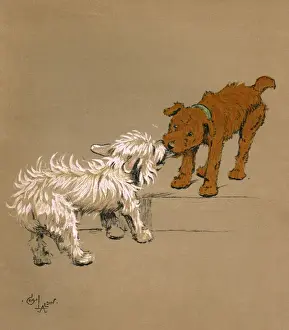 Illustration by Cecil Aldin, Mac