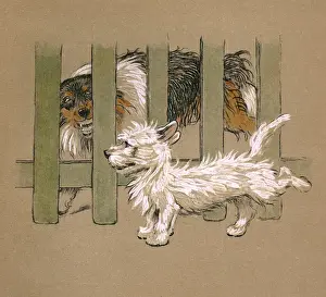 Illustration by Cecil Aldin, Mac
