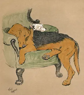 Illustration by Cecil Aldin, Mac