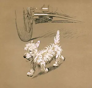Illustration by Cecil Aldin, Mac