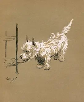 Illustration by Cecil Aldin, Mac